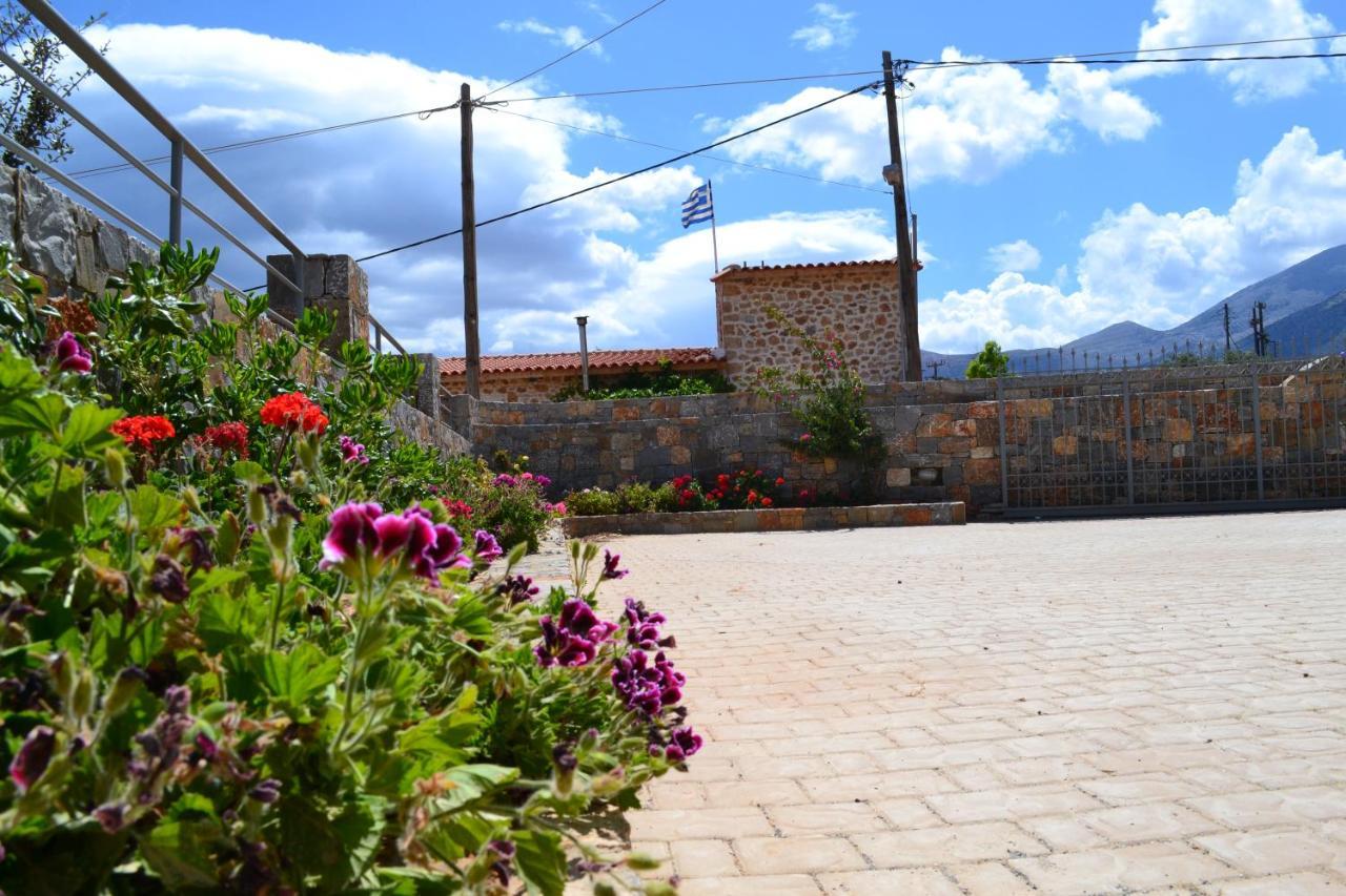 Asteri Apartments Малиа Экстерьер фото